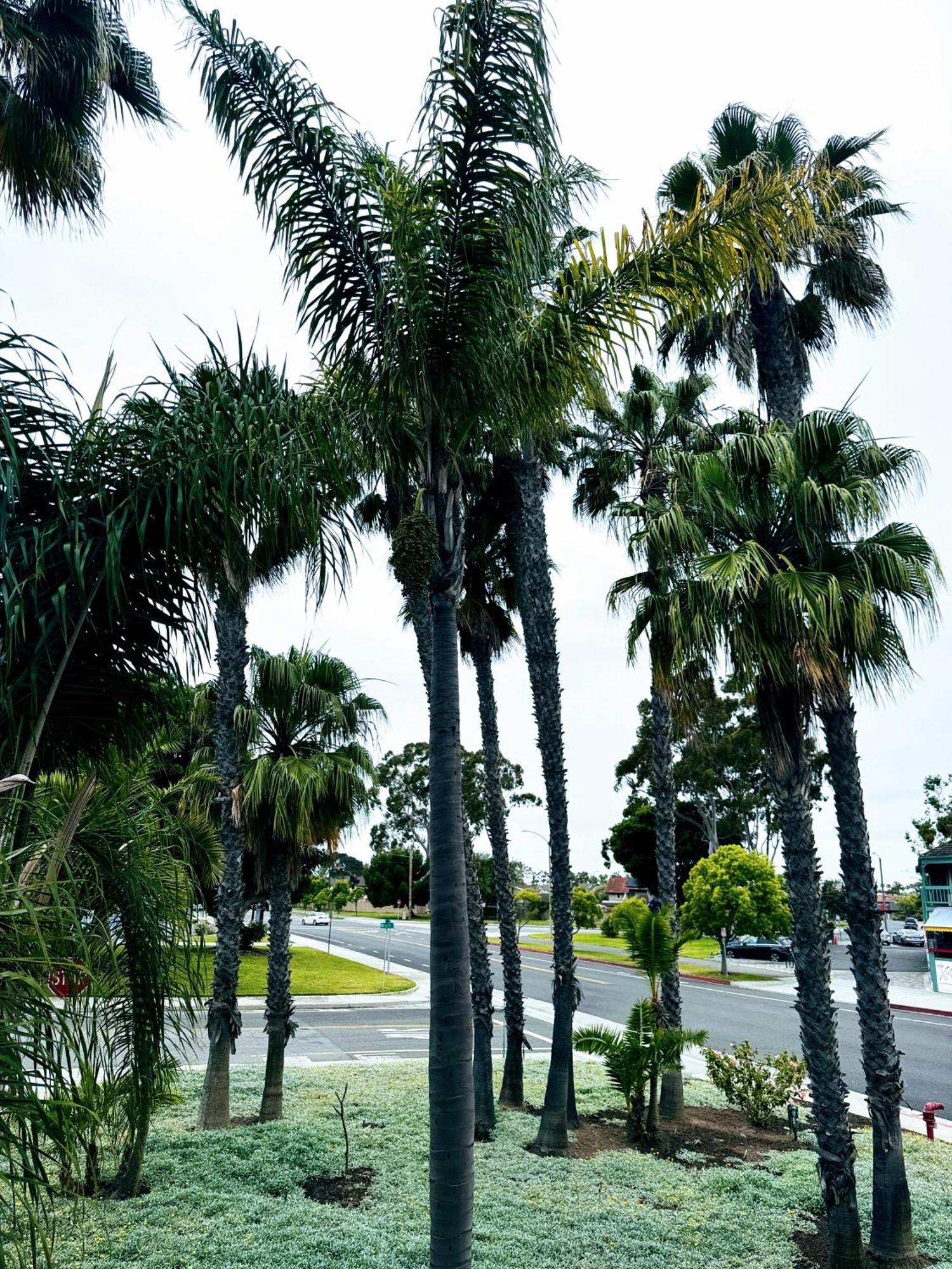 The Pacific Hotel 3*
